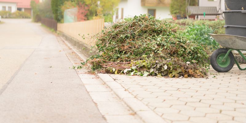 Brush Pile Clearing