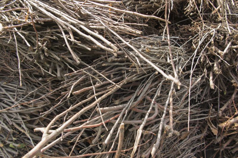Brush Cleanup Service in Ventura County, CA