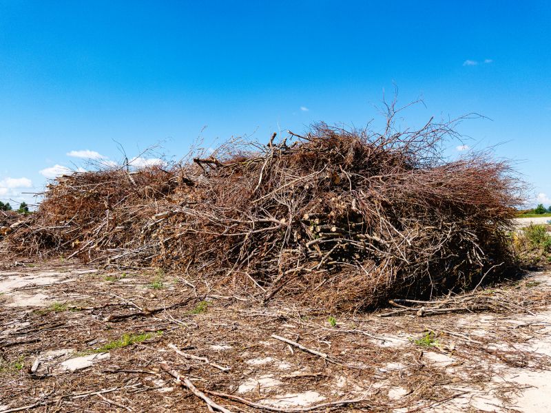 Fall Vegetation Removal