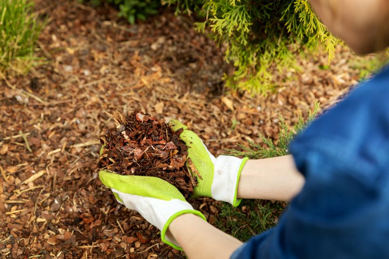 Commercial Mulching in Honolulu, HI