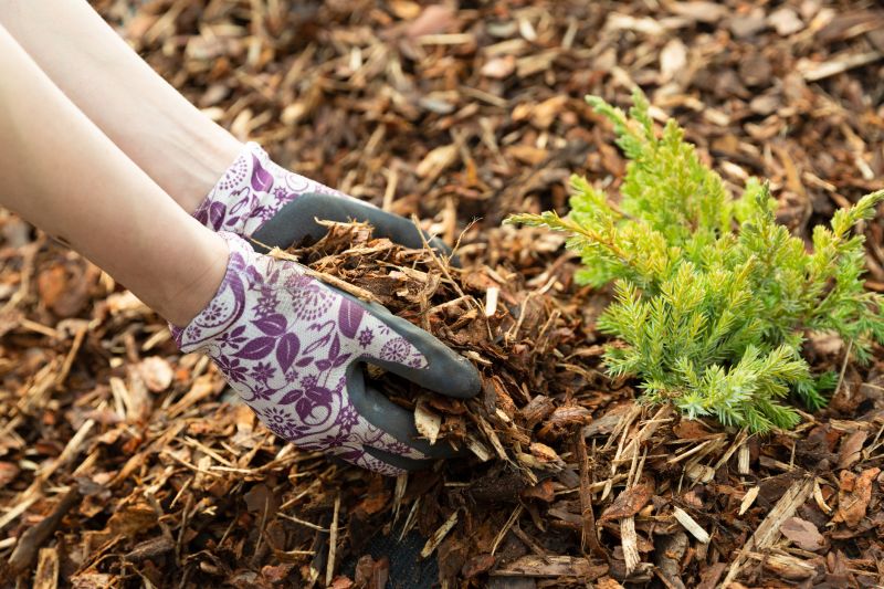 Cypress Mulch Installation in Ventura County, CA