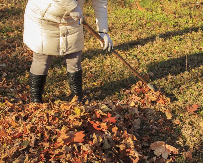 Fall Lawn Cleanup Service in Ventura County, CA