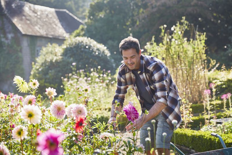 Flower Planting Service in Honolulu, HI