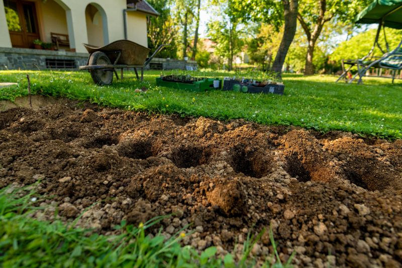 Garden Cleanup Service in Honolulu, HI