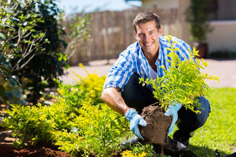 Hedge Landscaping in Ventura County, CA