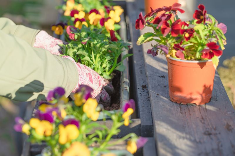 Home Gardening Service in Honolulu, HI