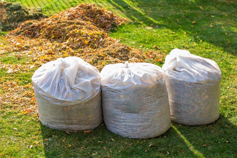 Lawn Cleanup Service in Ventura County, CA