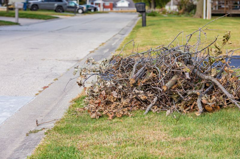 Lawn Debris Cleanup in Ventura County, CA