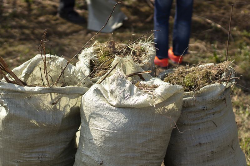 Lawn Debris Cleanup in Ventura County, CA