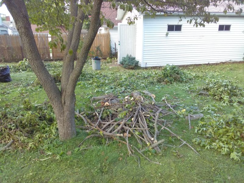 Leaf Cleanup Service in Honolulu, HI