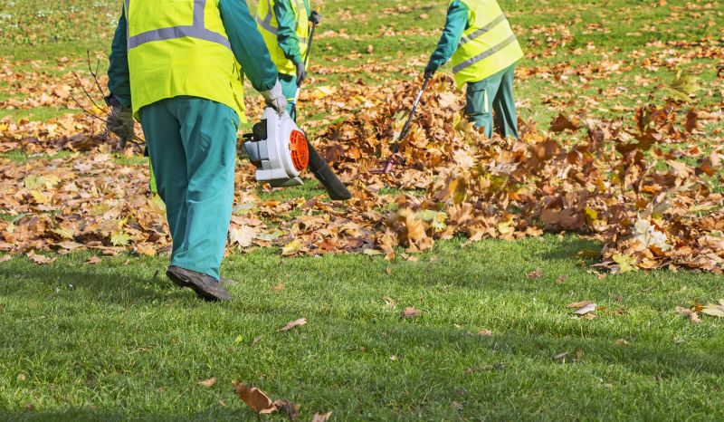 Leaf Removal in Honolulu, HI