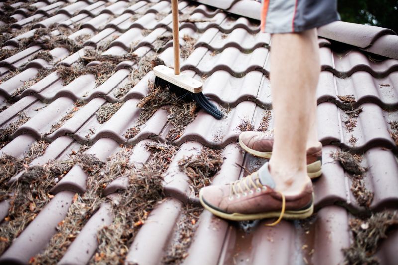 Leaf Removal in Ventura County, CA
