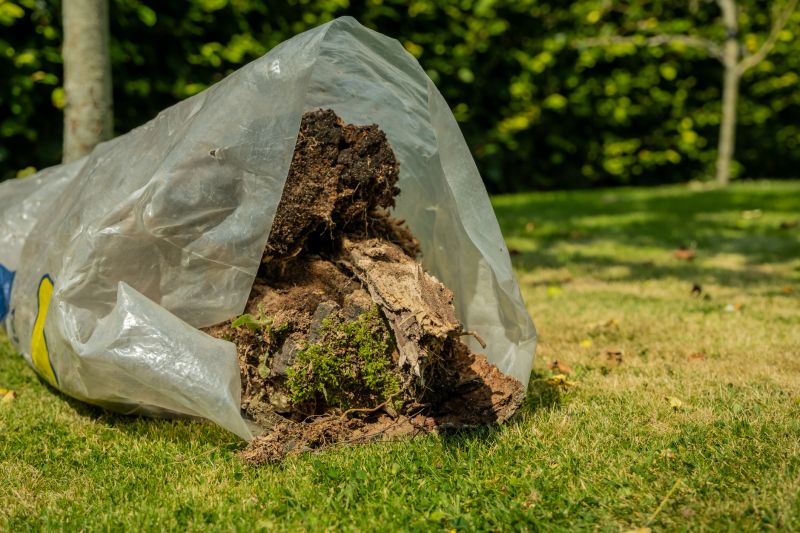 Pine Needles Removal in Honolulu, HI