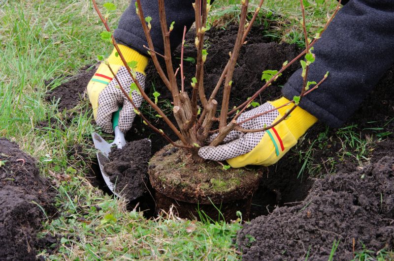 Planting Service in Honolulu, HI
