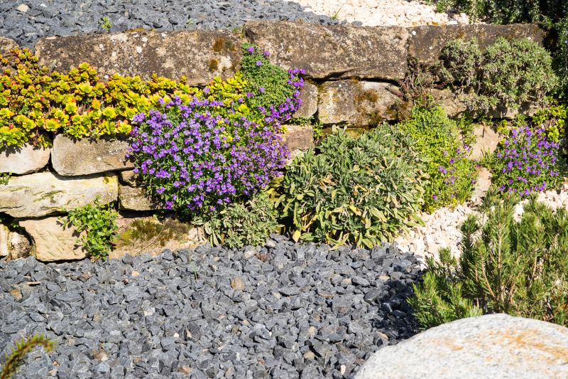 Rock Garden Installation in Honolulu, HI