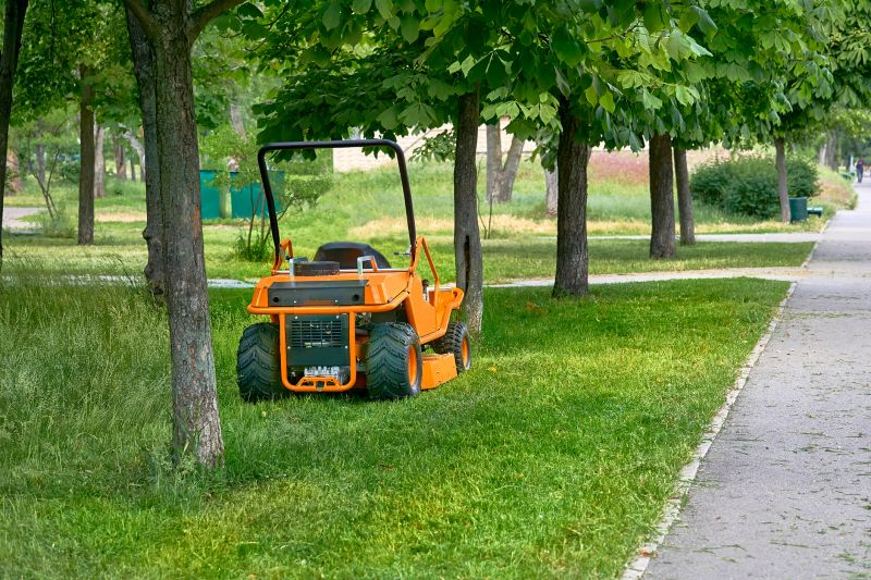 Seasonal Lawn Maintenance in Ventura County, CA