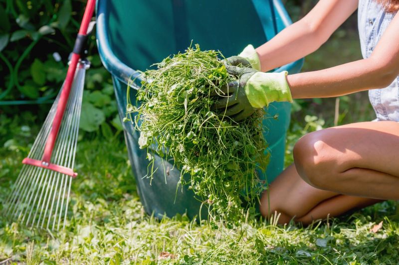 Seasonal Lawn Maintenance in Ventura County, CA