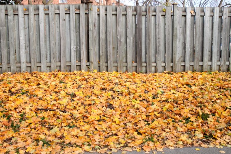 Seasonal Lawn Maintenance in Honolulu, HI