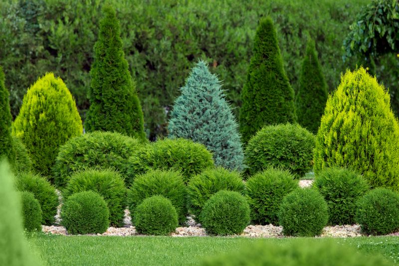 Shrub Installation in Honolulu, HI