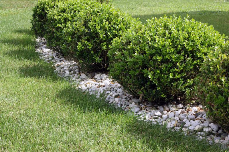 Shrub Landscaping in Ventura County, CA