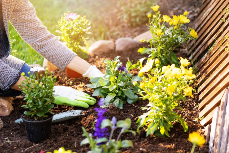 Spring Garden Maintenance in Honolulu, HI