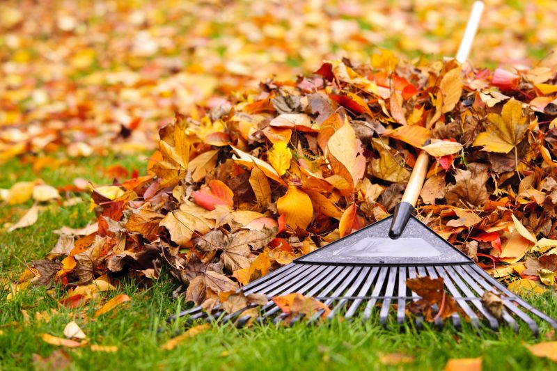 Spring Lawn Cleanup in Honolulu, HI