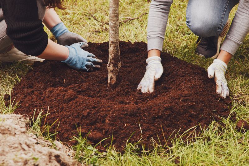 Tree Landscaping in Honolulu, HI