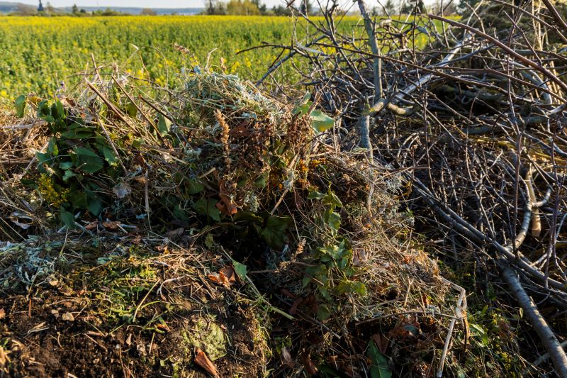 Landscaping Companies