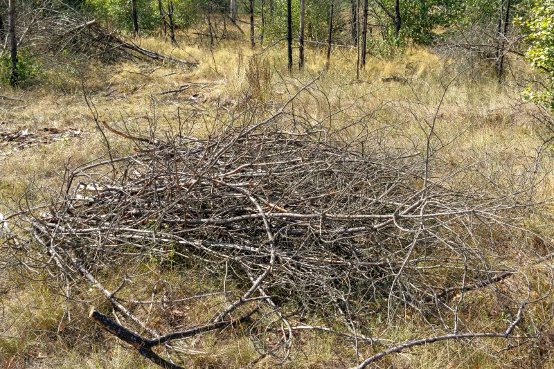 Wood Pile Removal in Ventura County, CA