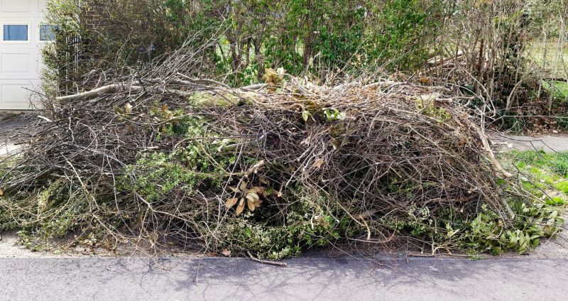 Wood Pile Removal in Ventura County, CA