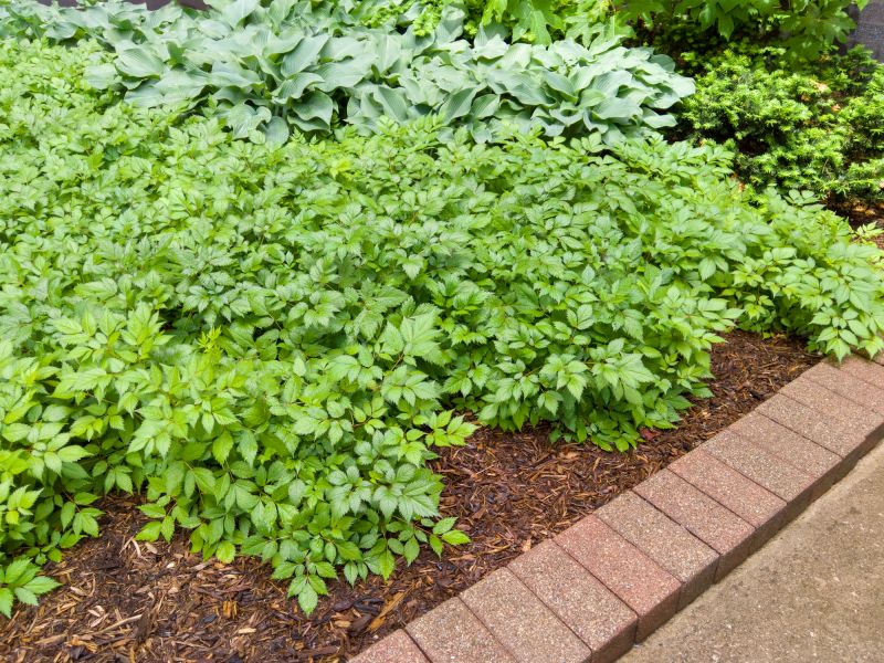 Concrete Edging Replacement in Honolulu, HI