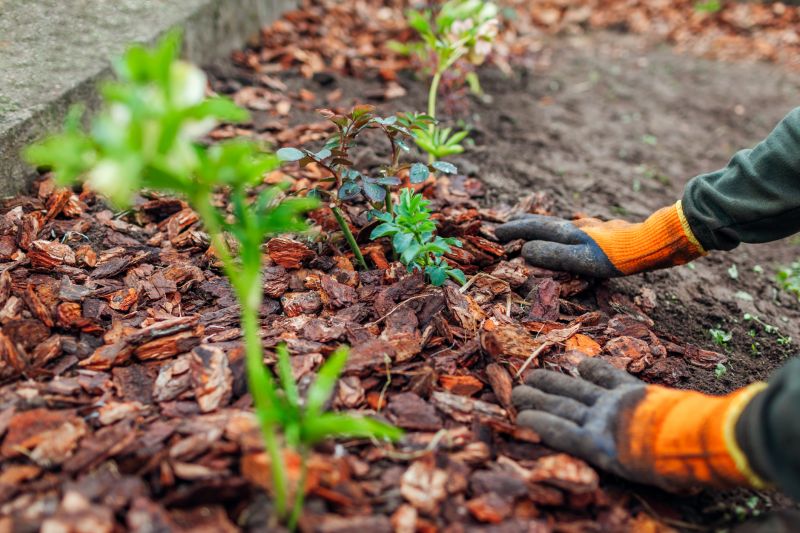 Garden Mulch Installation in Ventura County, CA