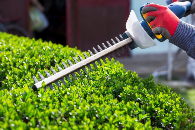Hedge Installation in Honolulu, HI