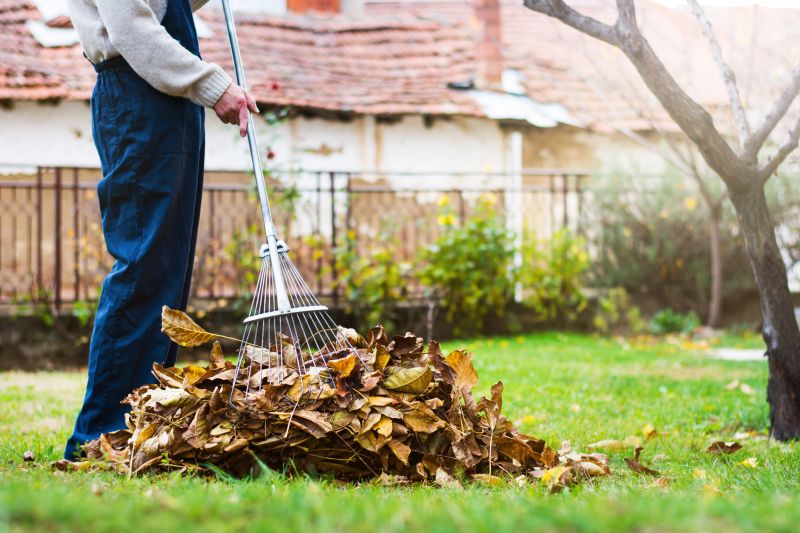 Lawn Cleanup Service in Honolulu, HI