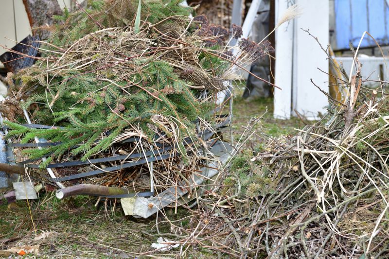Limbs Removal in Ventura County, CA