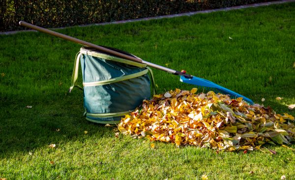 Plant Waste Disposal
